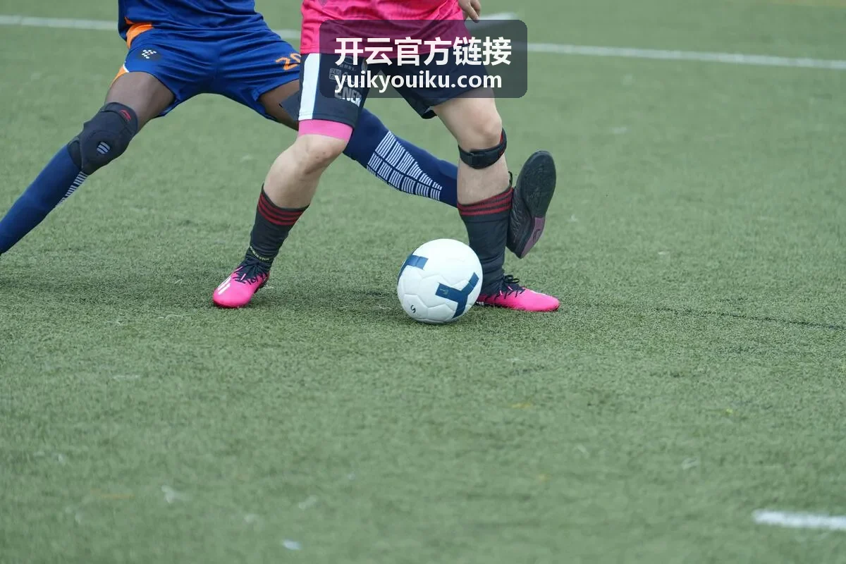 开云官方链接官方入口在移动端的访问界面示意
